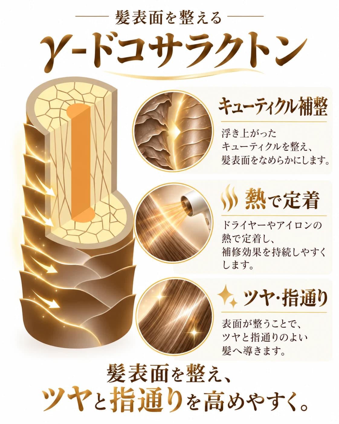 γ-ドコサラクトンが熱でキューティクルを整え、ツヤと指通りを高める仕組みの図解